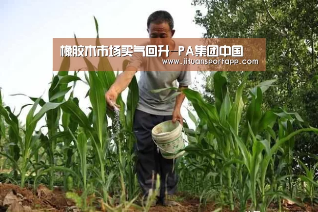 橡胶木市场买气回升-PA集团中国