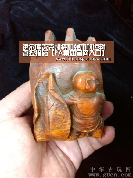 伊尔库茨克州将加强木材运输管控措施【PA集团官网入口】(图2) PA集团中国