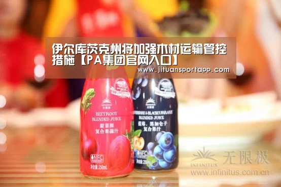 伊尔库茨克州将加强木材运输管控措施【PA集团官网入口】