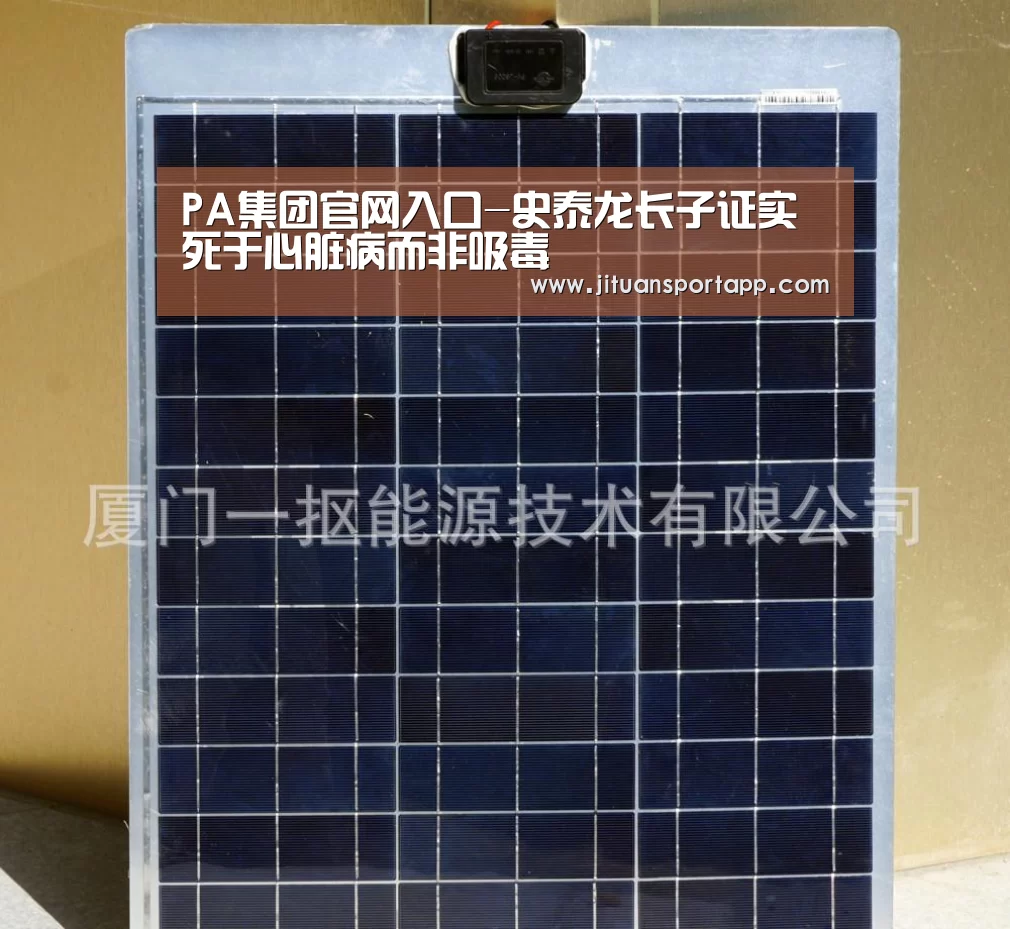 PA集团官网入口-史泰龙长子证实死于心脏病而非吸毒(图2) PA集团首页