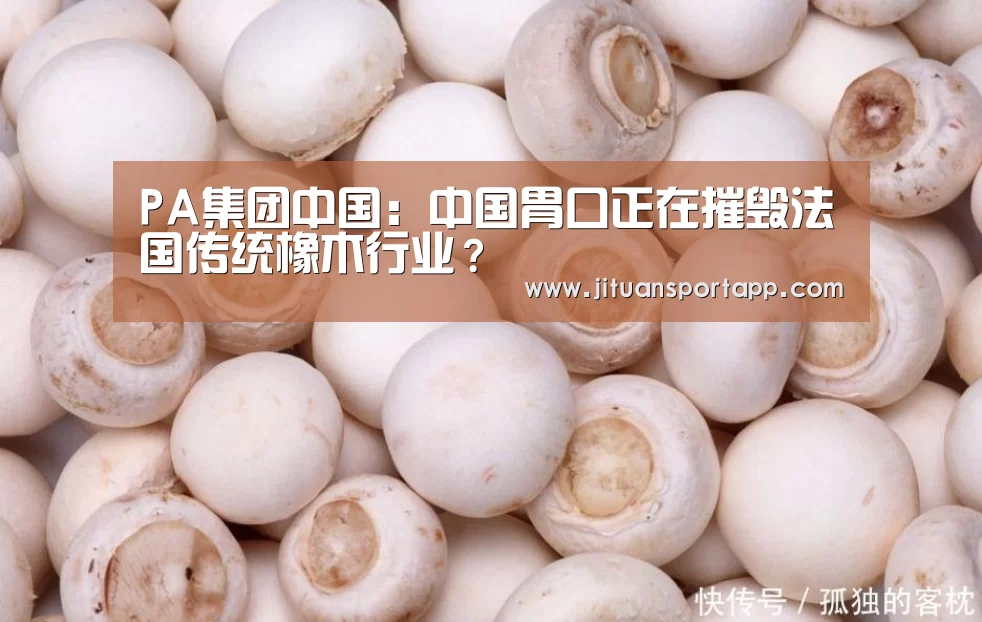 PA集团中国：中国胃口正在摧毁法国传统橡木行业？