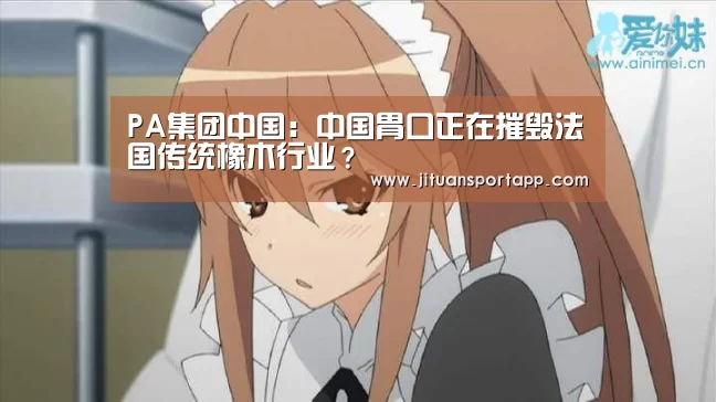 PA集团首页