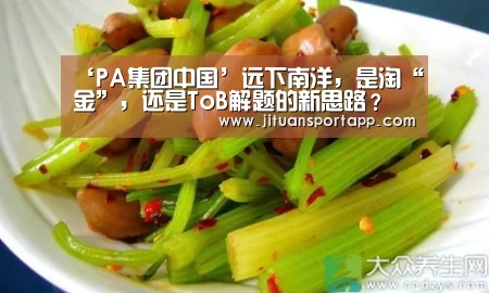 PA集团首页